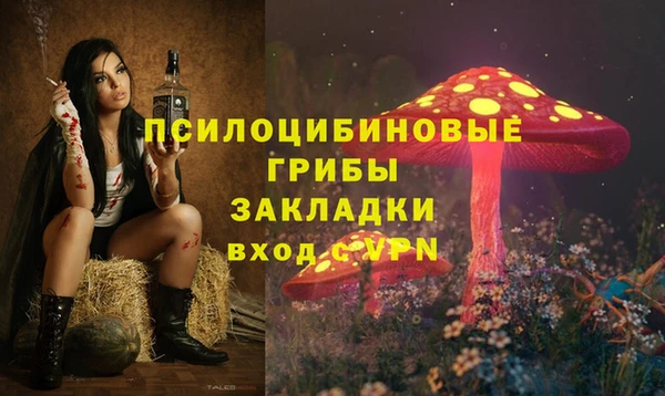 меф Алексин