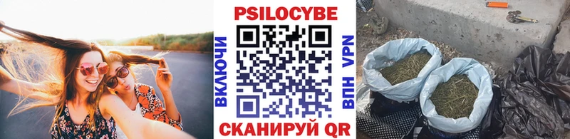кракен ONION  где продают наркотики  Апатиты  Галлюциногенные грибы Psilocybine cubensis 