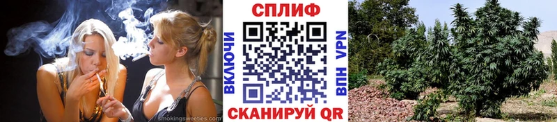 Бошки марихуана ГИДРОПОН Апатиты